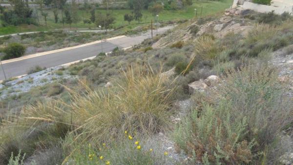 Terreno en calle los Jarales