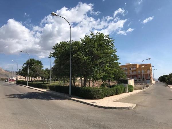 Terreno en calle Pedro Alonso s/n