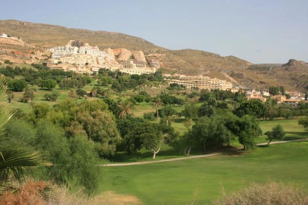 Terreno en calle los Olivos, 41