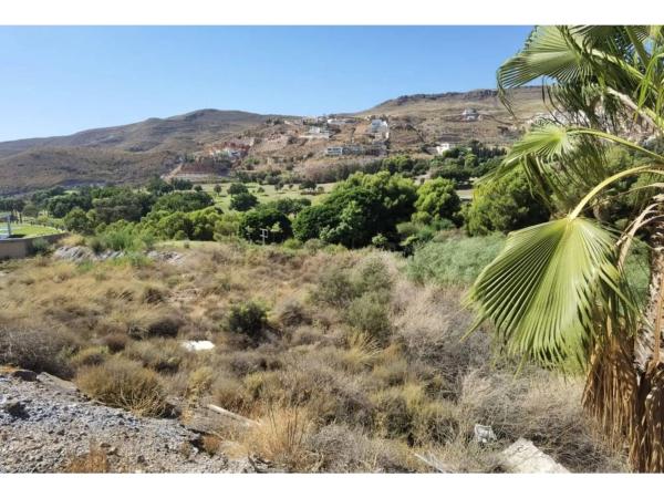 Terreno en calle los Olivos