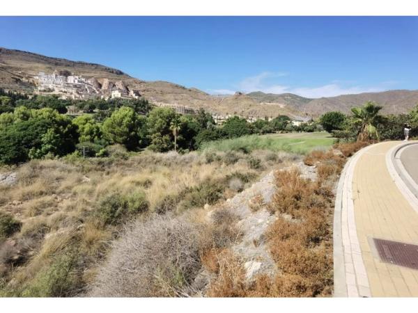 Terreno en calle los Olivos