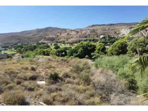 Terreno en calle los Olivos