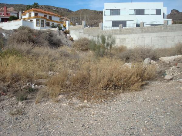 Terreno en calle los Ficus, 5