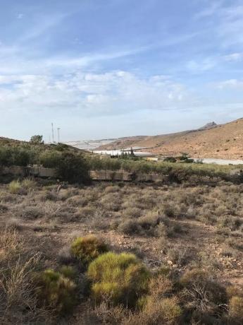 Terreno en carretera de Vícar s/n
