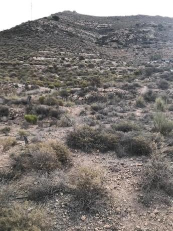 Terreno en carretera de Vícar s/n