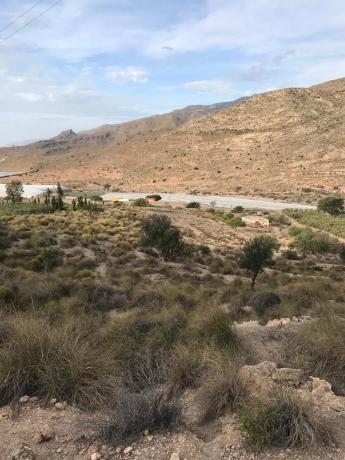 Terreno en carretera de Vícar s/n