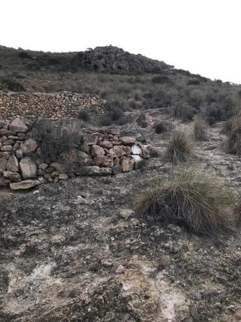 Terreno en carretera de Vícar s/n