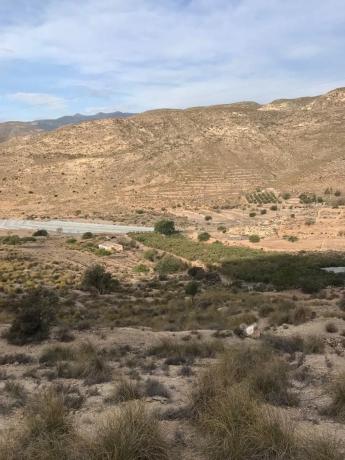 Terreno en carretera de Vícar s/n