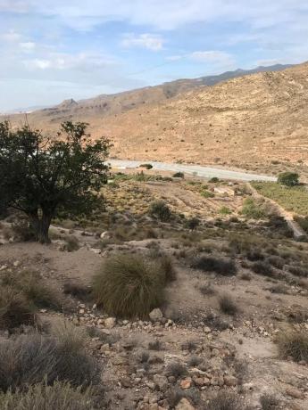 Terreno en carretera de Vícar s/n