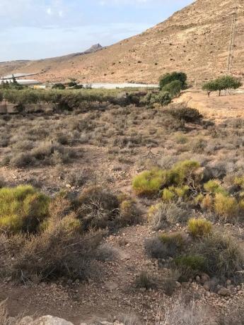 Terreno en carretera de Vícar s/n