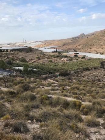 Terreno en carretera de Vícar s/n