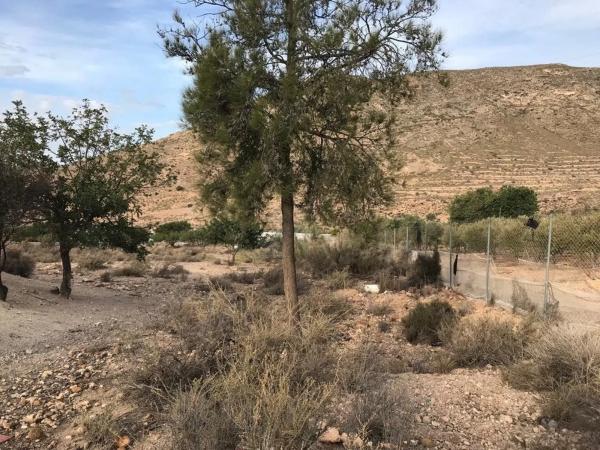 Terreno en carretera de Vícar s/n