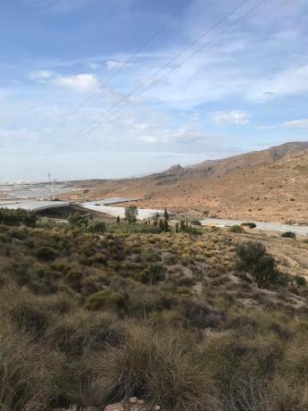 Terreno en carretera de Vícar s/n