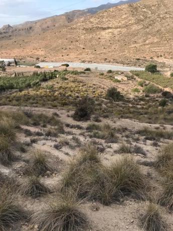 Terreno en carretera de Vícar s/n