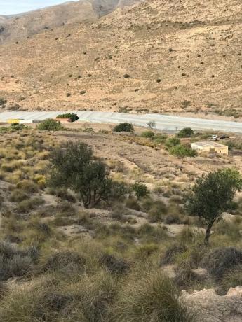 Terreno en carretera de Vícar s/n