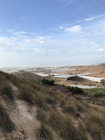 Terreno en carretera de Vícar s/n
