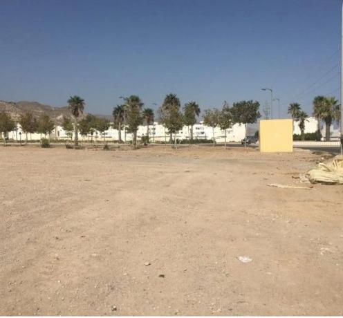 Terreno en Miguel Hernández