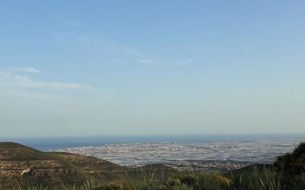 Terreno en calle las Encinas s/n LasEncinas