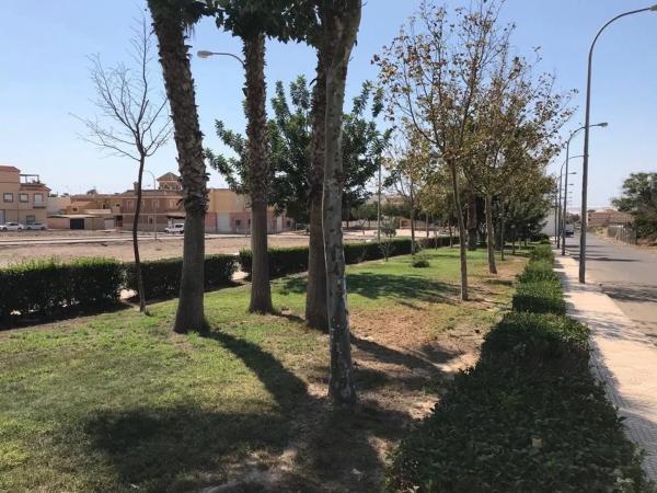 Terreno en calle Pedro Alonso s/n