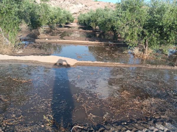 Terreno en Los Patricios s/n Sn