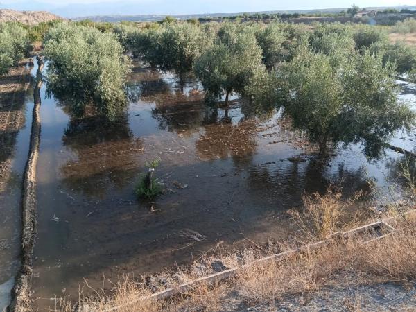 Terreno en Los Patricios s/n Sn