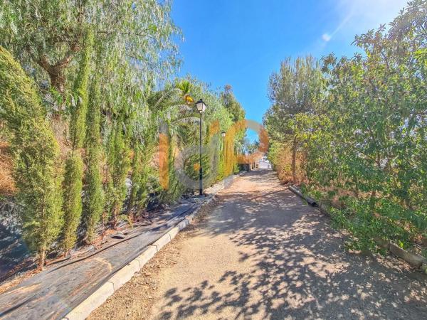 Terreno en calle Piedra Redonda