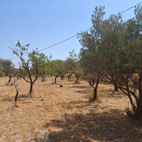 Terreno en A-1182, 5