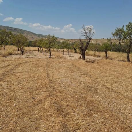 Terreno en A-1182, 5