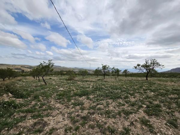 Terreno en Albox