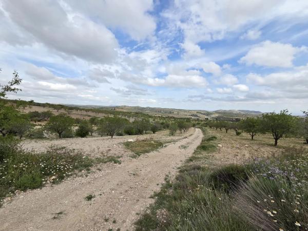 Terreno en Albox