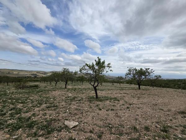 Terreno en Albox