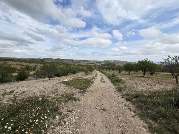 Terreno en Albox