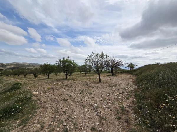 Terreno en Albox