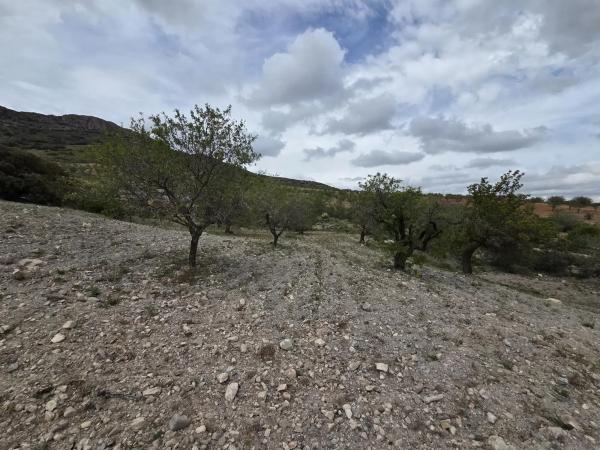 Terreno en Albox