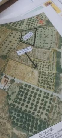 Terreno en calle Cantoria, km 30