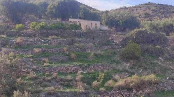 Terreno en calle San Antonio, 50