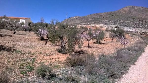 Terreno en calle Nicolás Salmerón s/n