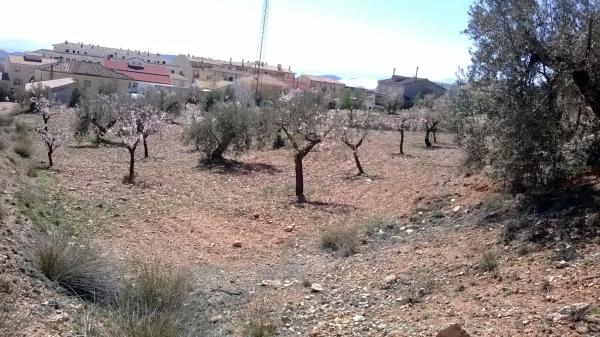 Terreno en calle Nicolás Salmerón s/n