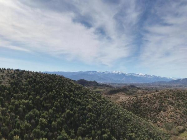 Terreno en plaza San Francisco