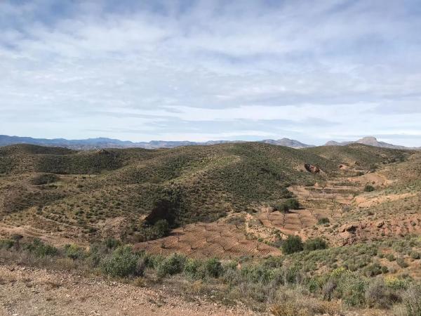 Terreno en plaza San Francisco