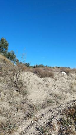 Terreno en Guanila, 38