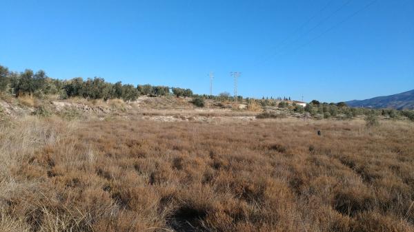 Terreno en Guanila, 38