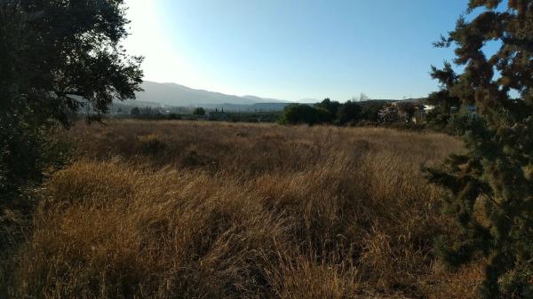 Terreno en camino Viejo de Cela, 38