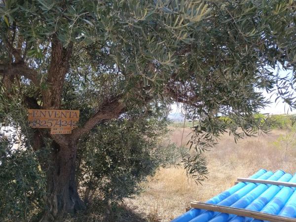 Terreno en camino Viejo de Cela, 38