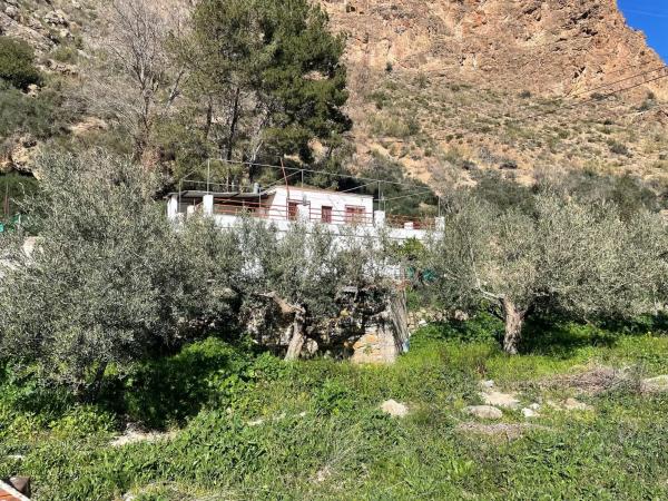 Terreno en calle Macael, 1