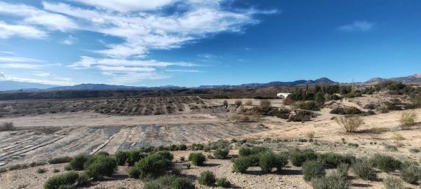 Terreno en las pocicas s/n