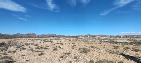 Terreno en las pocicas s/n