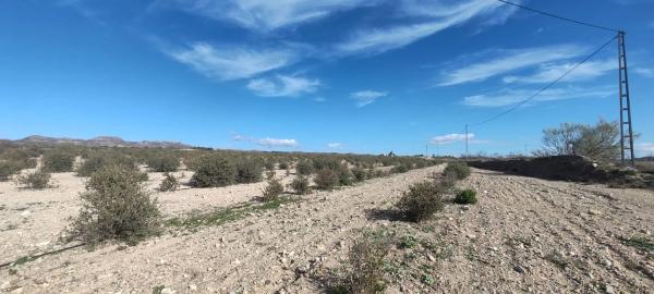 Terreno en las pocicas s/n