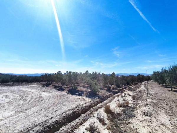 Terreno en calle Adrián Reche s/n Sn