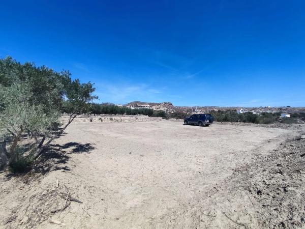 Terreno en calle Adrián Reche s/n Sn